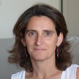 Teresa Ribera, directora del IDDRI