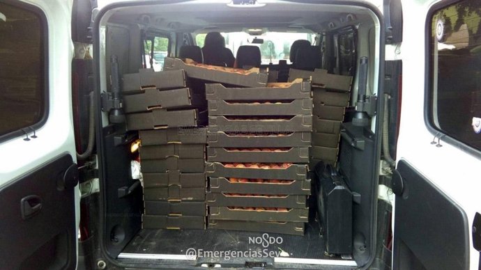 Cerca de 600 kilos interceptados por la Policia y donados al Banco de alimentos 