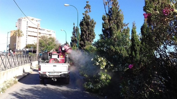 El Ayuntamiento De Málaga Informa: El Ayuntamiento Amplía La Fumigación En El En