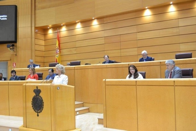 Comparecencia de la Defensora del Pueblo en el Pleno del Senado