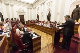 Debate en las Juntas alavesas 