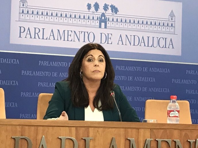 La parlamentaria del PSOE-A Ángeles Férriz en rueda de prensa en el Parlamento