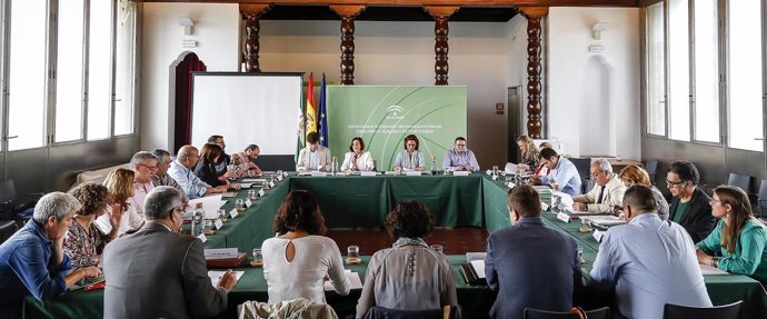 La consejera de Igualdad preside el Consejo Andaluz  del Voluntariado