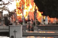 Vídeo de un aparatoso incendio en el cementerio de Cacabelos (León) tras las caída de un rayo sobre un árbol