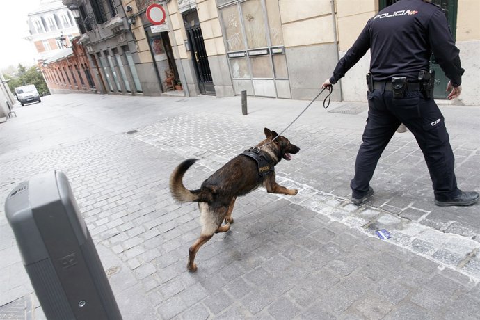 Guia caní, guies canins, gos policia, gossos policies