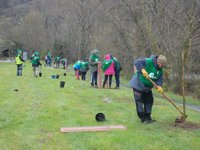 El Senado insta al Gobierno a impulsar el sector forestal y la gestión sostenible y promover los productos forestales