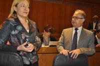 La izquierda aprueba los Presupuestos de Aragón de 2017 con el voto en contra de PP, PAR y Cs