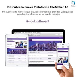 FileMaker