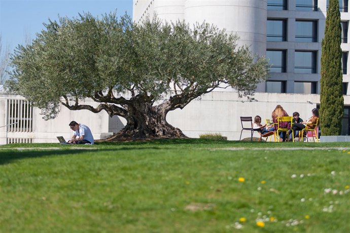 Campus de la Universidad de Navarra.
