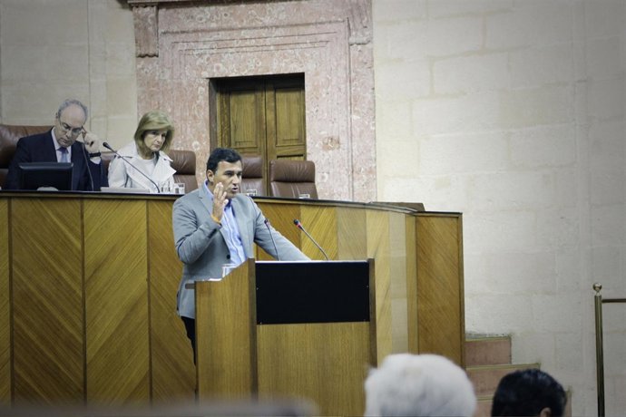 El parlamentario de Cs Carlos Hernández en el Pleno del Parlamento andaluz