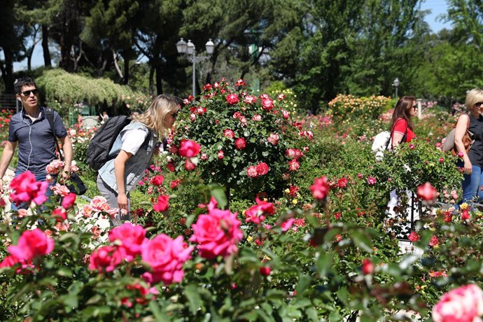 Roses a la ciudad