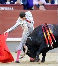 El Comité Taurino recurrirá la ley balear de toros si finalmente se aprueba