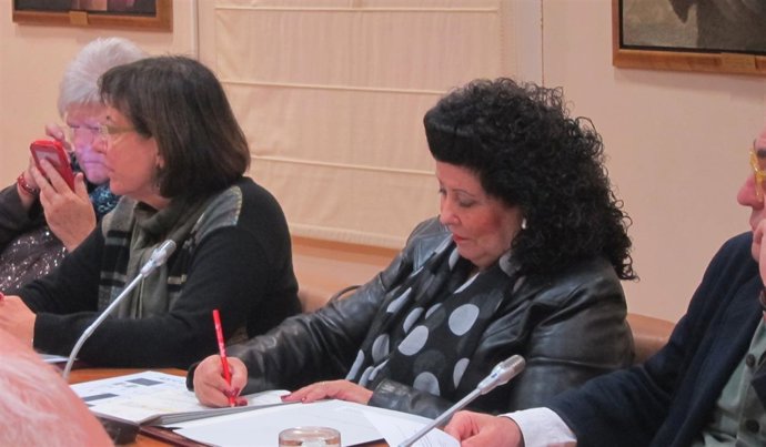Consuelo Ciscar en el pleno del CVC de este lunes                 