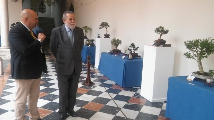 Blanco (izda.) y Ruiz contemplan algunos de los bonsáis