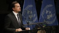 Leonardo DiCaprio le pide a Peña Nieto que salve a la vaquita marina