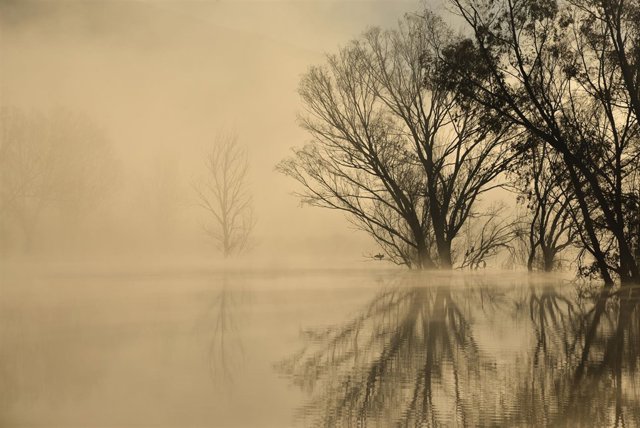 Primer premio del Certamen Fotográfico Mayores por el Medio Ambiente