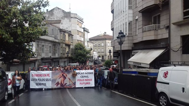 Manifestación del sector vitivinícola de O Ribeiro en Ribadavia.