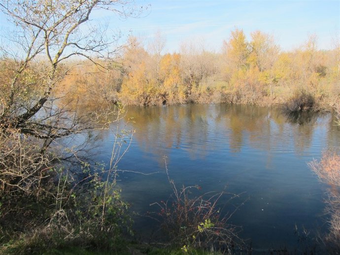 Galacho de Juslibol, en Zaragoza