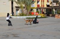 Ciudadanos propone un programa con perros para proteger a víctimas de violencia machista