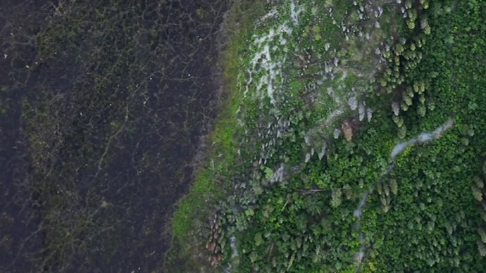 Google Earth revela 467 milions d'hectàrees de bosc sense registrar