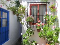 El Concurso y el Festival de Patios de Córdoba supera el millón de visitas