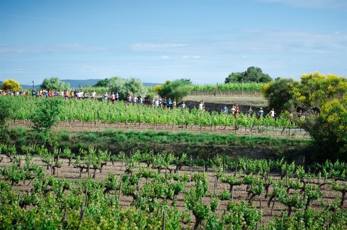 Enocursa de Torres 