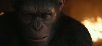 Sin paz, sin piedad: Tráiler final de La guerra del planeta de los simios