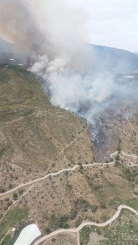 Declarado un incendio forestal en una zona situada entre Lobres y Salobreña (Granada)