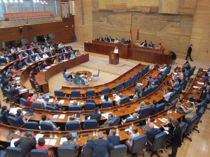 Pleno Asamblea De Madrid