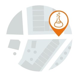 Proyecto 'Calles de Ciencia' de FECYT