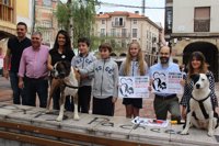 La Plaza de La Llama de Torrelavega acogerá el domingo un 'Desfile Canino de Adopción'