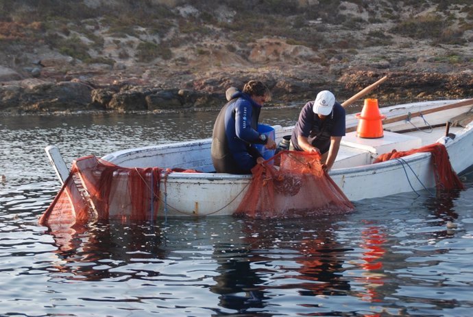 Pesca artesanal en la Reserva Marina de Cabo de Palos-Islas Hormigas 