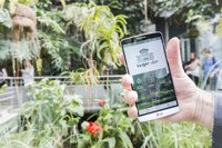 El Botánico lanza la app 'RJB Museo Vivo' para mejorar la experiencia del visitante