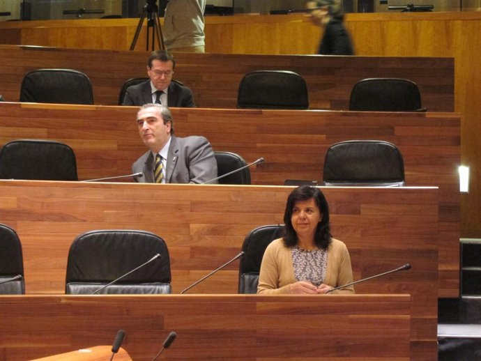 La consejera María Jesús Álvarez, durante el pleno de la Junta.