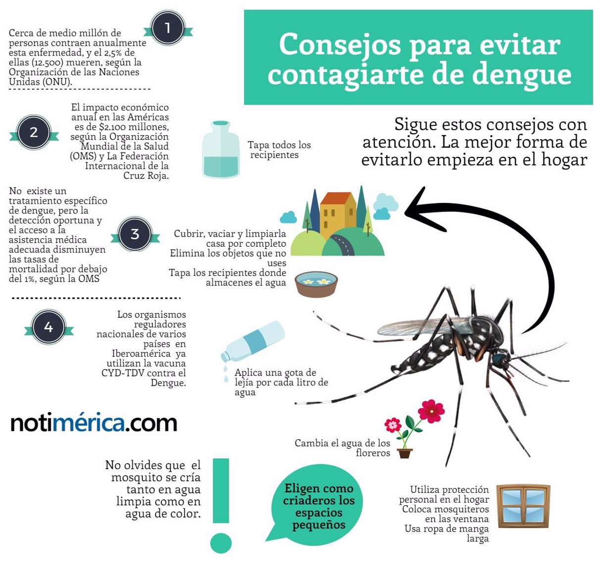 INFOGRAFÍA/ Consejos para evitar contagiarte de dengue