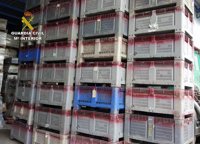 Guardia Civil abre una investigación contra dos personas acusadas de sustraer más de 8 toneladas de limones