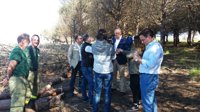 Tareas de prevención de incendios forestales en 1.560 hectáreas de montes públicos en Cádiz