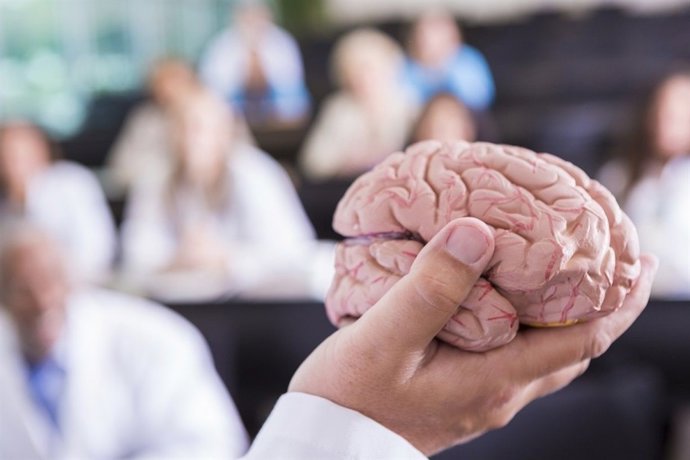 Máster en Neuropsicopedagogía online 