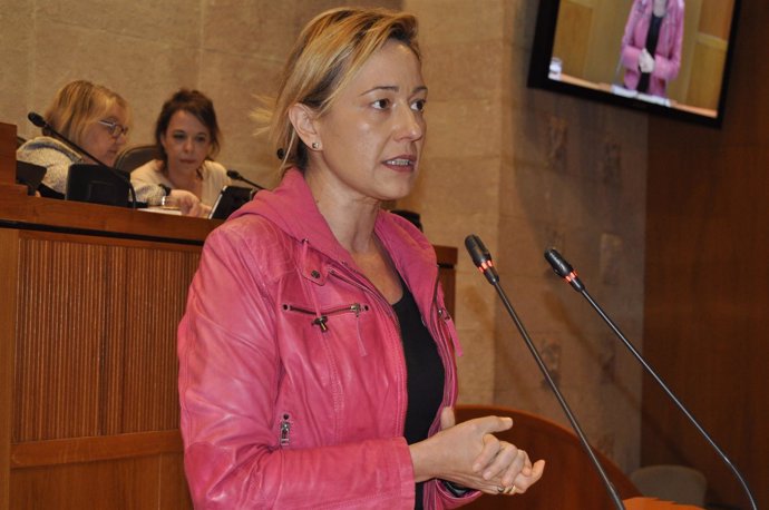 La consejera Marta Gastón, en su intervención en el pleno de las Cortes
