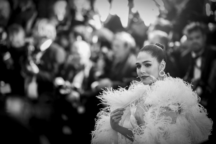 Cannes, en la foto Araya A. Hargate 