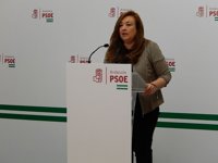 PSOE-A afirma que la oferta de Podemos a IU-CA conlleva "abrir las puertas de par en par al PP en los ayuntamientos"