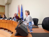 En Marea denuncia que Albor "cobra sin trabajar" en el Consultivo y la Xunta le defiende y afea las ausencias de Beiras