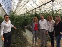 La producción ecológica pueda beneficiarse de las ayudas a los programas operativos de las OPFH