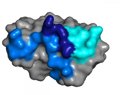 Científicos estudiarán si el virus Zika puede eliminar células de tumor cerebral