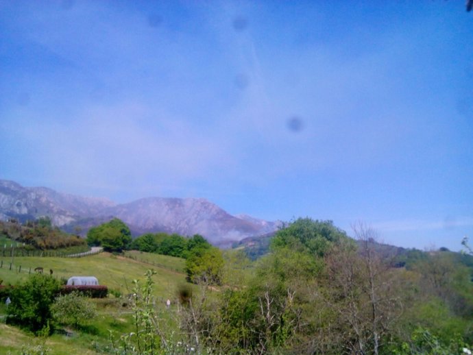 Incendio forestal en Paraes (Piloña). 