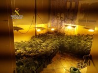 Detenidas cuatro personas y desmantelados tres puntos de venta de droga en Guillena (Sevilla)