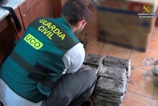 Operación Daltones