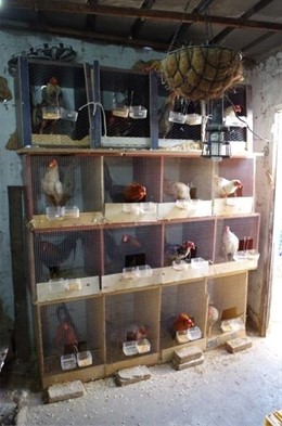 La instalación se ha descubierto en La Punta