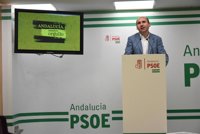PSOE-A ve la moción de censura de Podemos "sólo teatro para interferir en las primarias" socialistas