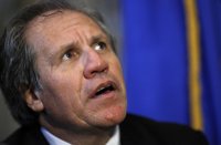 La OEA insiste en la convocatoria de elecciones generales para terminar con la crisis en Venezuela